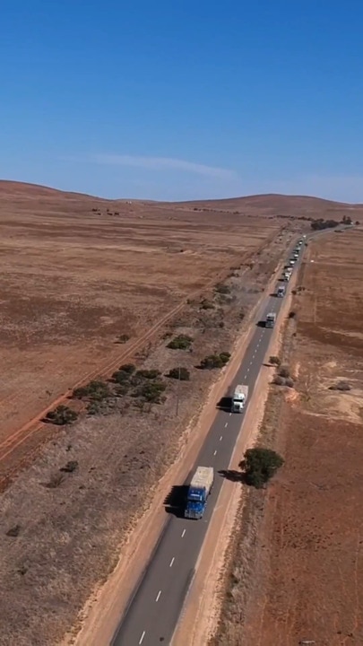 Over 100 trucks of donated hay delivered to struggling SA farmers