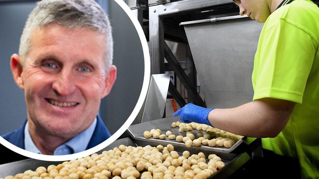 Marquis Macadamias Northern Rivers Processing plant with CEO Charles Cormack taking the local nut to the international stage.