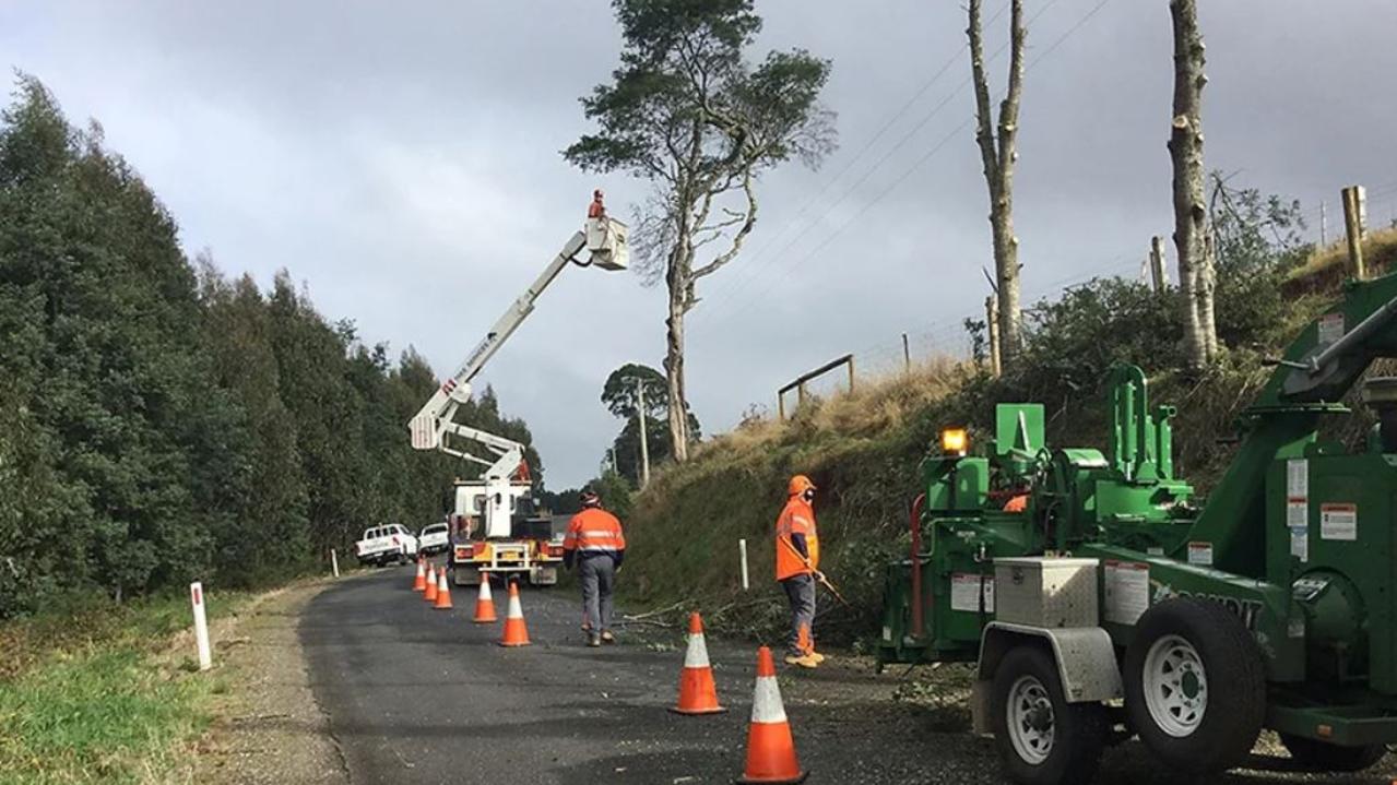 A1 Tree Services in action. Picture: A1 Tree Services.