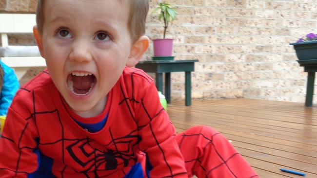 Could scent hounds have found William Tyrrell if they were deployed after his disappearance?