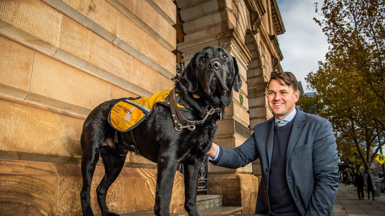 Zero with handler Darren Evans on May 10th, 2021, outside the Supreme Court in Adelaide. Picture: Tom Huntley.