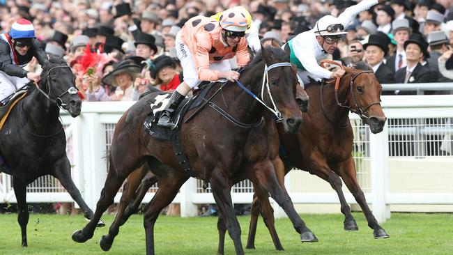 Black Cavia winning on the world stage at Royal Ascot.