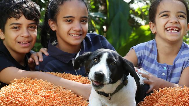 Yoshi, 10, Hana, 12, and Rosa, 6, at home with Oreo the four-month-old border collie cross adopted from the RSPCA. Photographer: Liam Kidston.