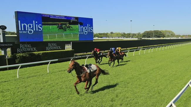 Nature Strip tossed off James McDonald in a trial last month. Picture: Getty Images