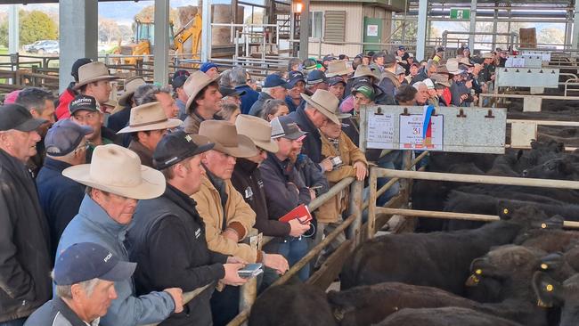 The huge crowd at the Wangaratta spring feature sale. Picture: Jenny Kelly