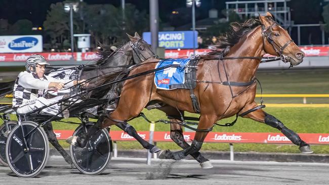 Leap To Fame on his way to victory in the Sunshine Sprint at Albion Park. Picture: Supplied