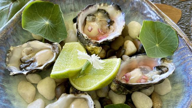 The oysters go from local plot to plate at Carool’s kitchen garden Potager.