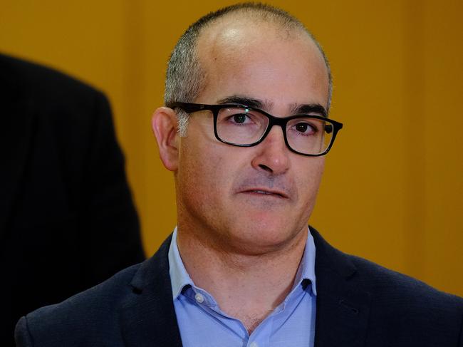 Former deputy premier James Merlino was appointed chair of the SRL Authority. Picture: Luis Enrique Ascui