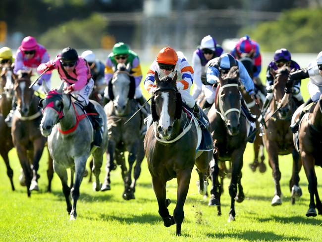 Jockey Tim Clark (orange cap /center ) rides HARMONIC to the line to win Race 6 The Provincial Championship Qualifier at Hawkesbury Race Club , Richmond .Picture Gregg Porteous