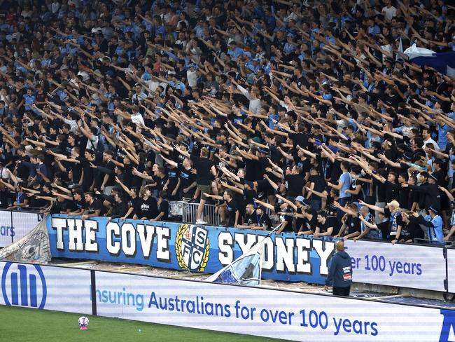 The Cove Sydney FC fans during the A-League Derby match between Sydney FC and Western Sydney Wanderers at Allianz Stadium on 12 November, 2022, Sydney, Australia. Photo by Phil Hillyard(Image Supplied for Editorial Use only - **NO ON SALES** - Â©Phil Hillyard )