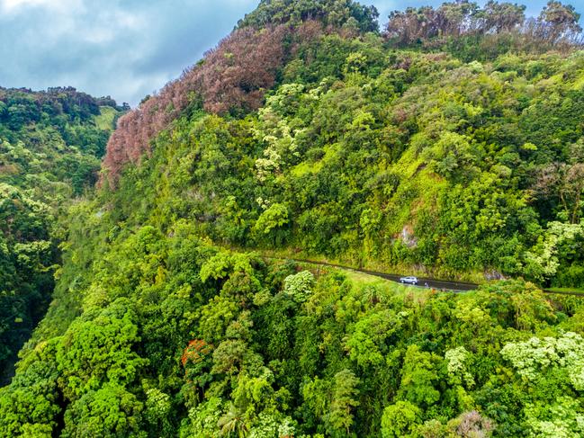 Drive the extraordinary Hana Highway for epic Maui views.