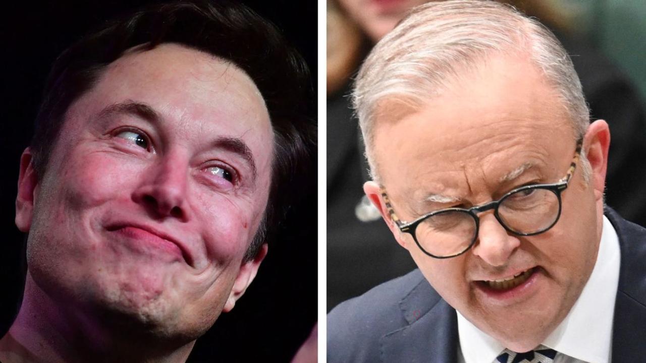 Musk’s surprise backer in fight with Albo