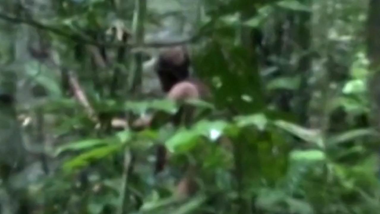 Last member of Brazilian forest tribe dies | KidsNews