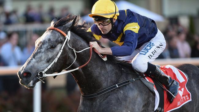 Superstar sprinter Chautauqua. Photo: Vince Caligiuri/Getty Images.