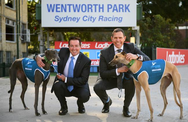 NSW Racing Minister Paul Toole says the race will drive economic activity in regional areas. Pictured with Greyhound Racing NSW CEO Tony Mestrov. Picture: Dan Himbrechts