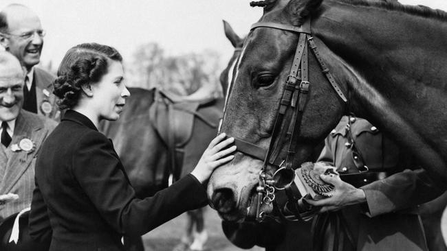 Queen Elizabeth II strokes one of the horses that competed in the Olympic Horse trials, on April 24, 1953 at Badminton. Picture: AFP