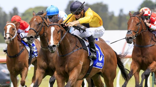 Quick Tempo won on The Gong day two years ago. Picture: Mark Evans / Getty Images