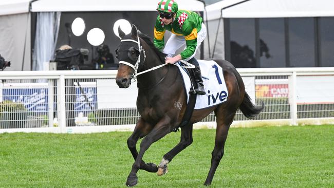 Promising three-year-old Rediener will be out to give champion trainer Chris Waller another win in the Group 3 Carbine Club Stakes at Flemington. Picture: Racing Photos via Getty Images