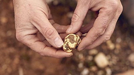 Small nuggets of gold alone can reach up to $1000. Picture: Lucky Strike Gold