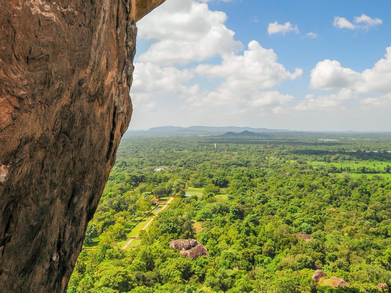 Looking over the rainforest of Sri Lanka.