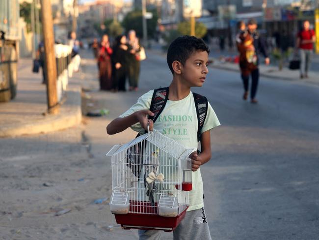 A Palestinian boy carries his pet bird in a cage as families leave their homes following an Israeli attack on the Rafah refugee camp, in the southern of Gaza Strip. Picture: AFP