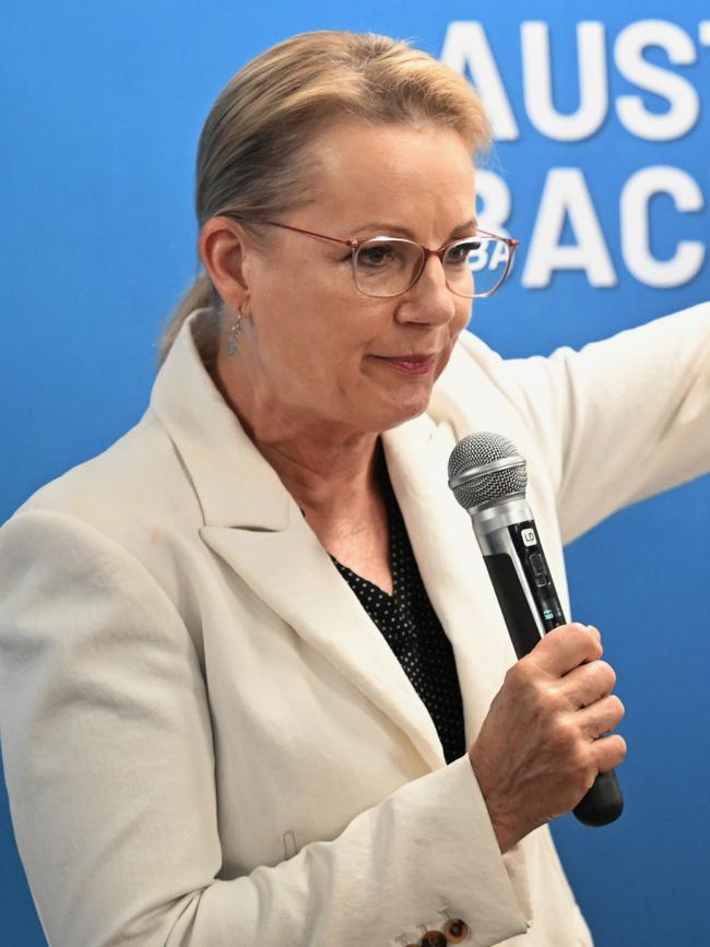 Sussan Ley. Picture: Getty Images