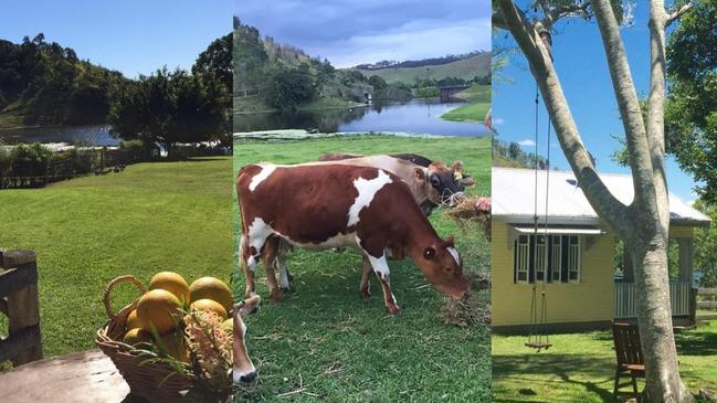 Many of the farm stays such as Cedar Brae (pictured) near Gympie were encouraged by friends and family to open the farm to travellers before making the decision to do so.