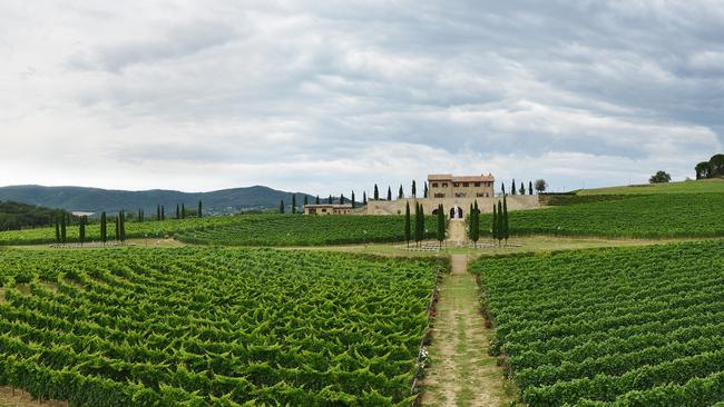 Vineyards at Brunello Cucinelli headquarters in Solomeo, Umbria