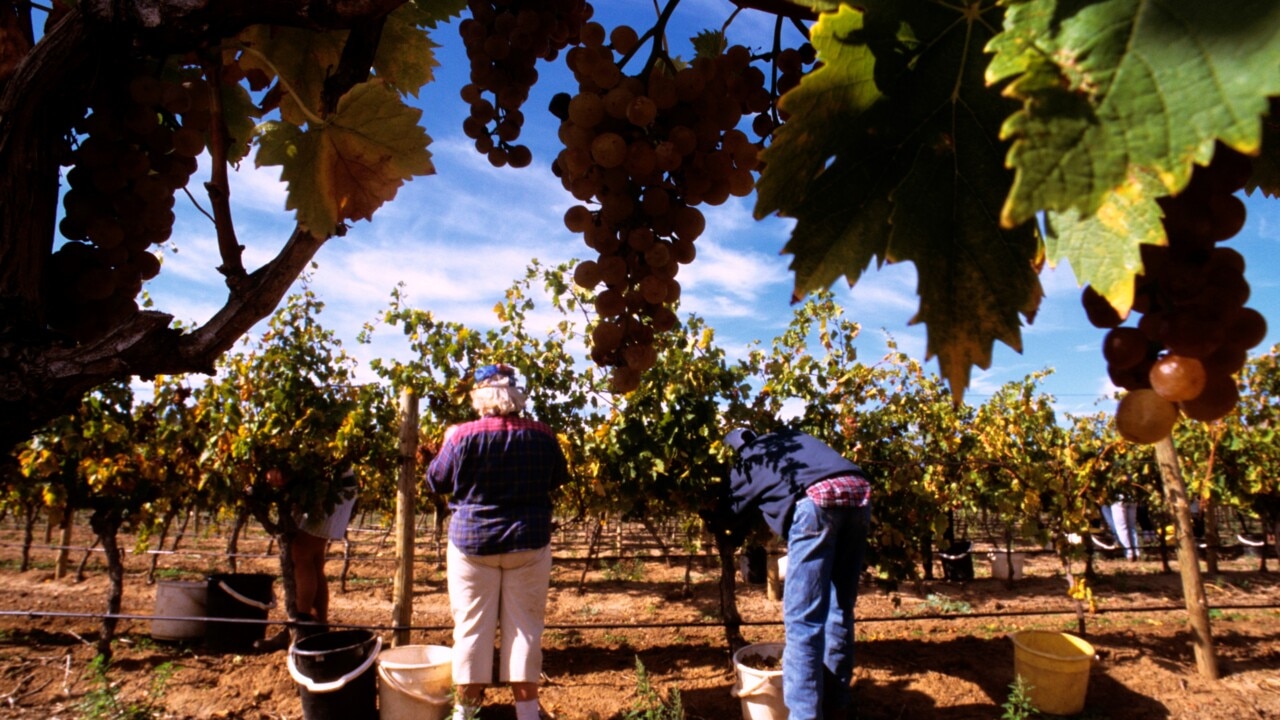 Push to encourage pensioners to work on farms