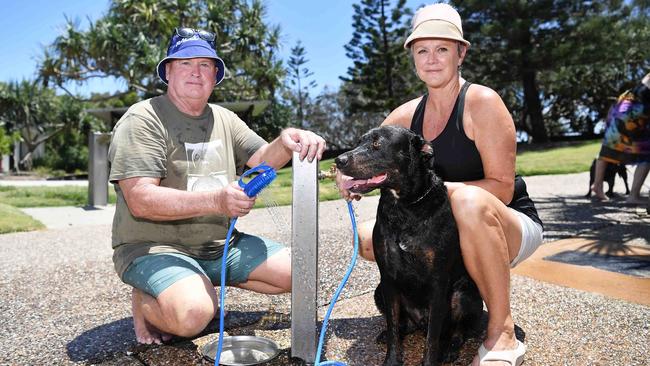 Ross Maxwell and Lynn Murphy with their dog Benji. Picture: Patrick Woods.