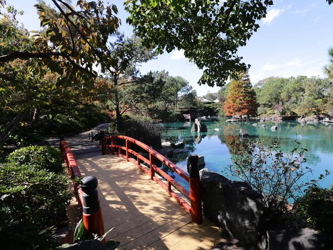 Sydney is full of wonderful suburbs. Autumn Festival in the Auburn Botanic Gardens.