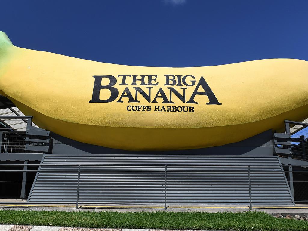 The Big Banana is seen in Coffs Harbour, Friday, October 27, 2017. The Big Banana, which opened in 1964, is Australia's original and most famous 'Big Thing'. Created to advance the banana industry and tourism in Coffs Harbour, it had a knock on effect with other 'Big Thing' developments created across the country. (AAP Image/Dave Hunt) NO ARCHIVING