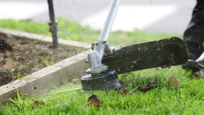 Man critical after suspected whipper snipper attack in Wellington NSW ...