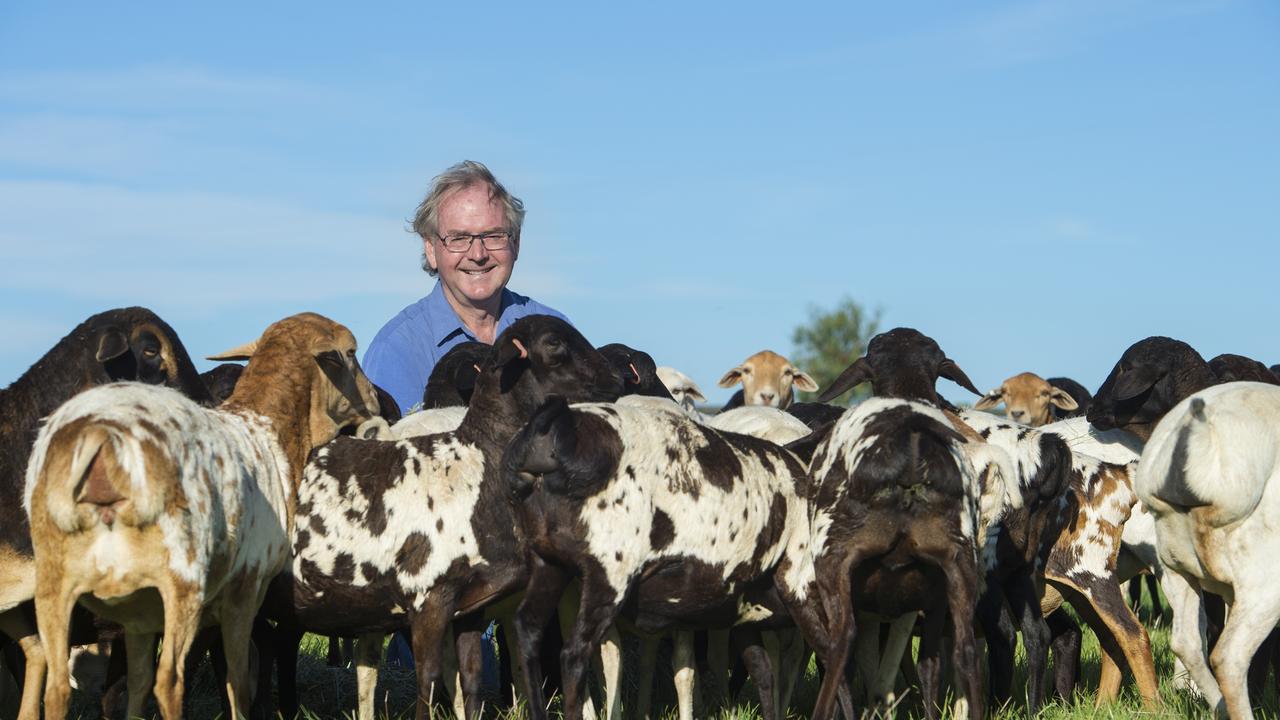 Colin Walker with his Persian sheep at Pearcedale. Picture: Zoe Phillips