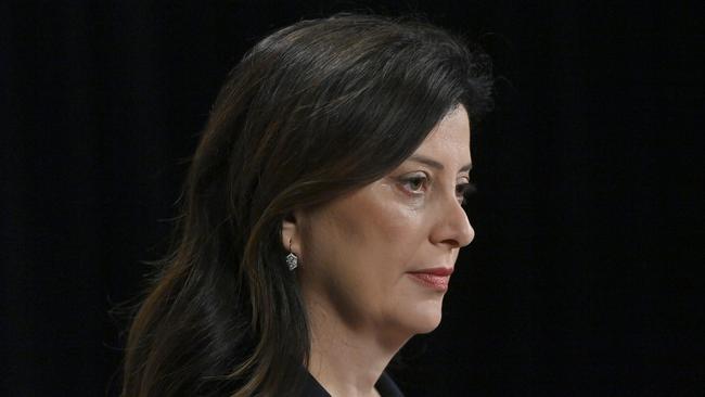 Consumer and Business Services Minister Andrea Michaels. Picture: Keryn Stevens.