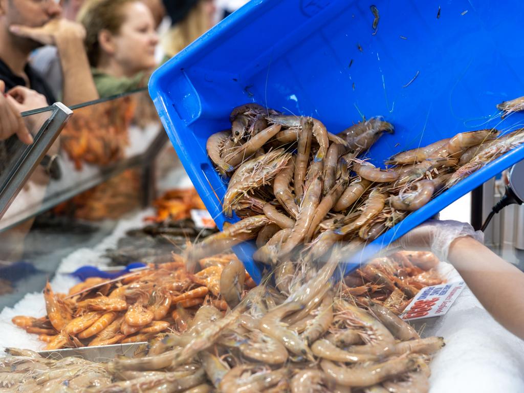 Prawns are “in abundance” this year, meaning prices can stay steady or lower than possibly expected. Picture: NCA NewsWire / Seb Haggett.