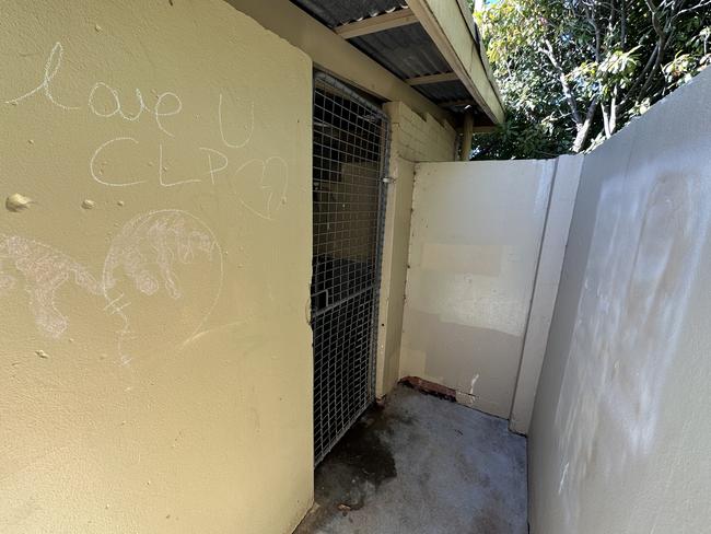 ‘Hanging in the entrance’ … a graffiti dedication to Charli Powell on the wall where she was found.