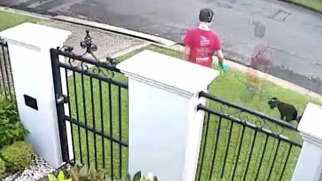 David Deaned’s cameras captured the dog poo bandits in action. (Pic: Facebook)