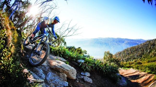 Mountain biking kosciuszko national park sale