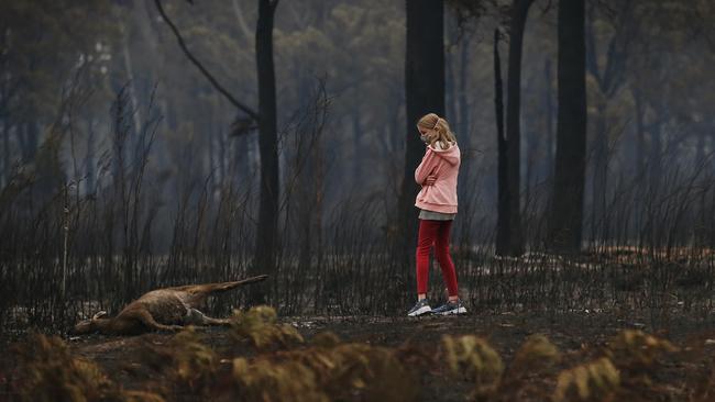 A young girl looks at the burnt body of dead kangaroo while walking her dog along a scorched property. Picture: David Caird