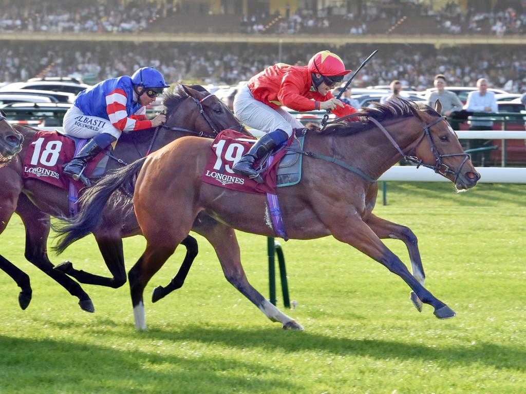 Highfield Princess is one of Great Britain's best sprinters. Picture: HKJC