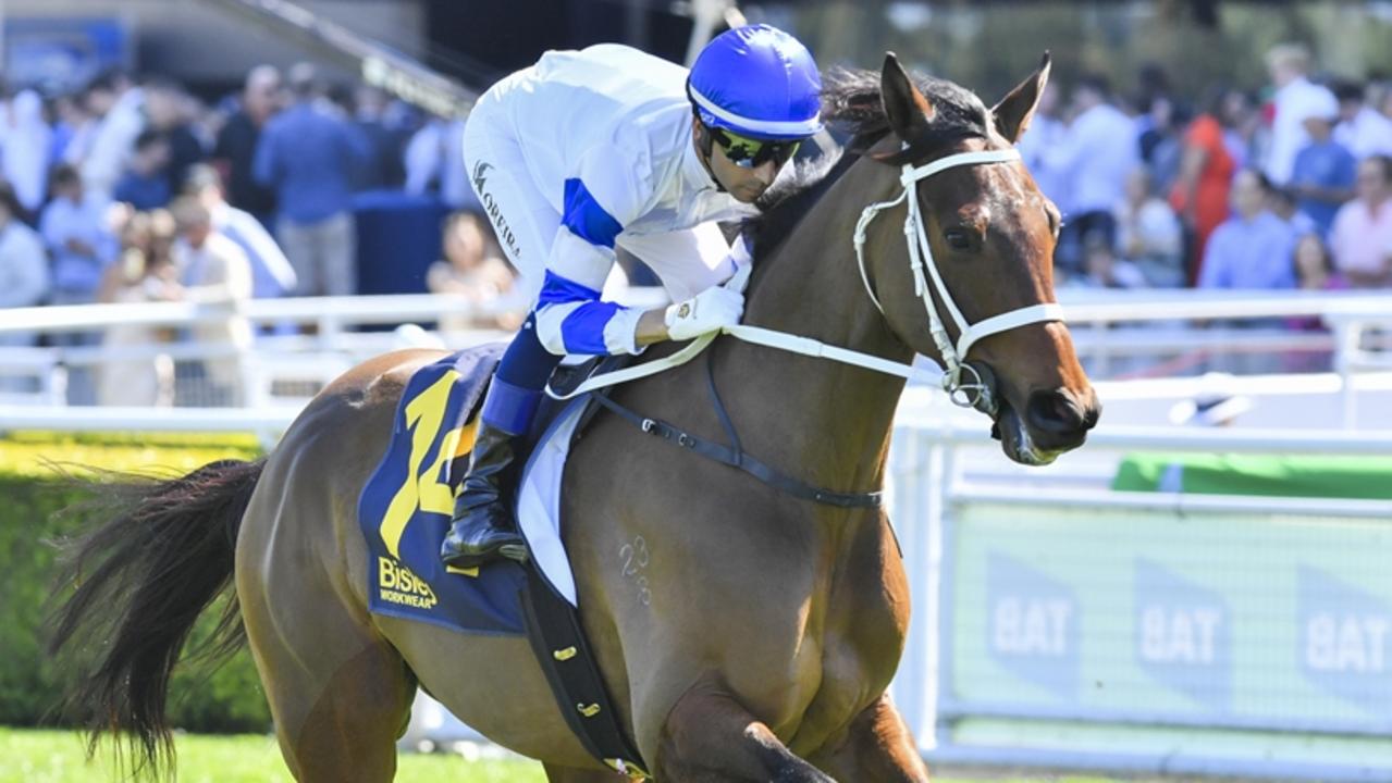 Tips, race-by-race analysis for Doomben on Saturday: $3.70 best bet