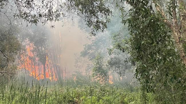 The Byron Bay bushfire on Sunday. Picture: RFS Mullumbimby