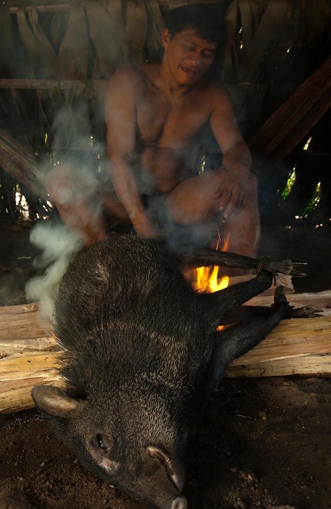 The lives of the Huaorani people in the Ecuadorean Amazon jungle. Picture: Pete Oxford /mediadrumworld.com/australscope