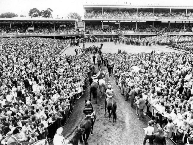 1973’s winner Gala Supreme returns to scale.