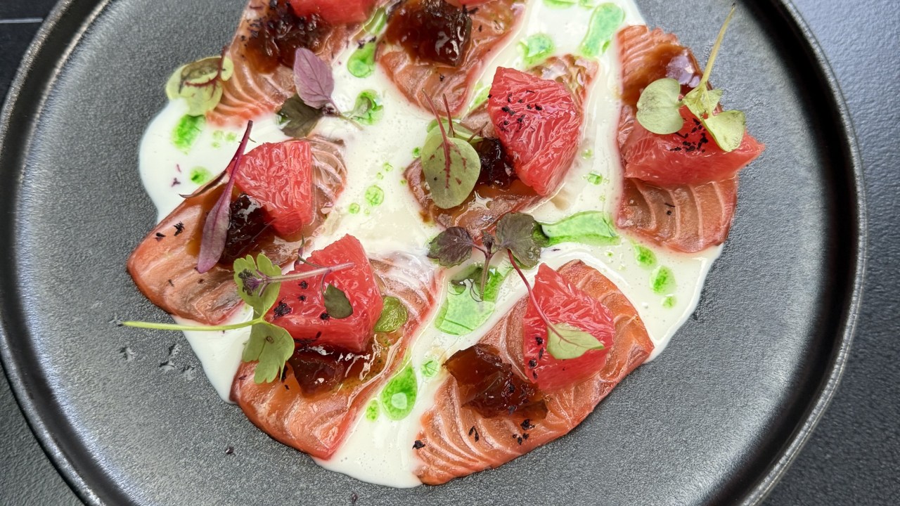 Grapefruit salmon gravlax.