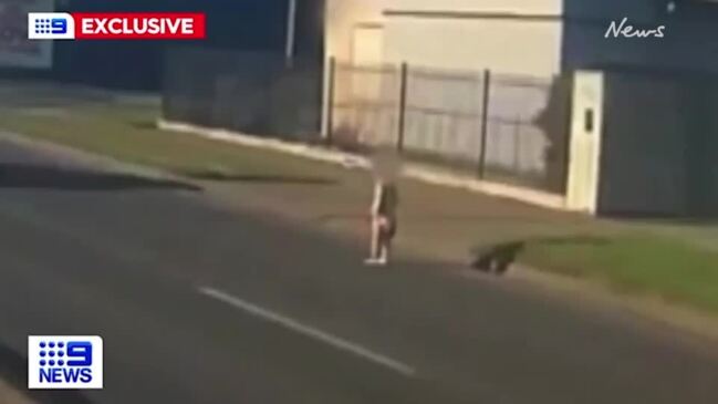 Child saved after wandering onto highway (9NEWS)