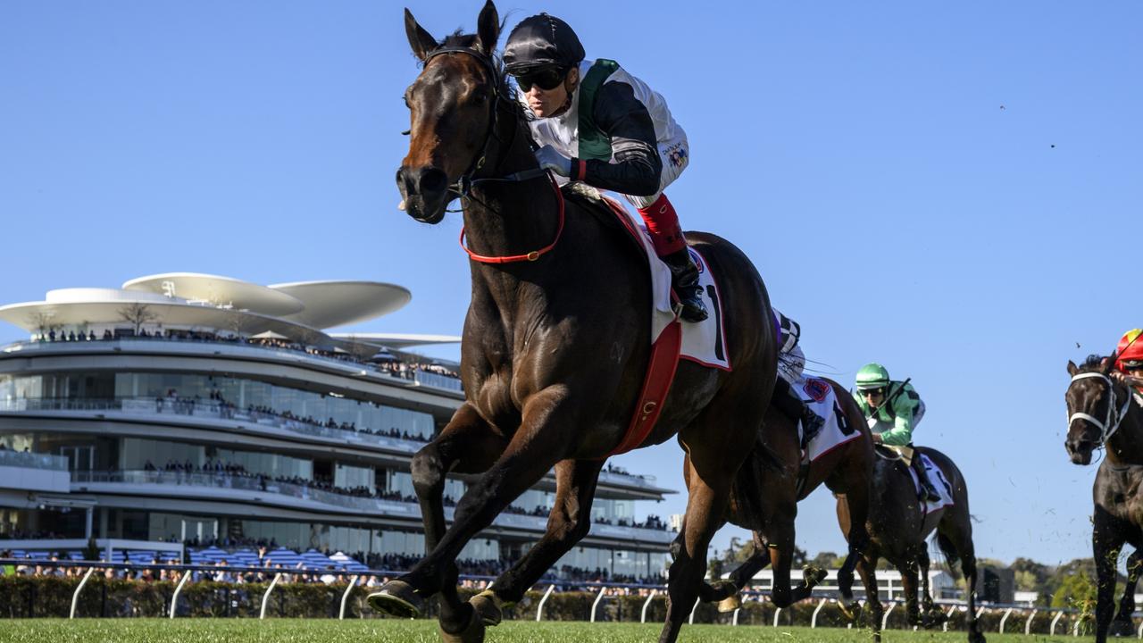 Hong Kong Cup 2024: Romantic Warrior wins six weeks after Cox Plate victory