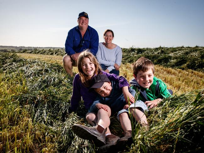 Waves of gain: SA farmers to harvest mind-boggling profit