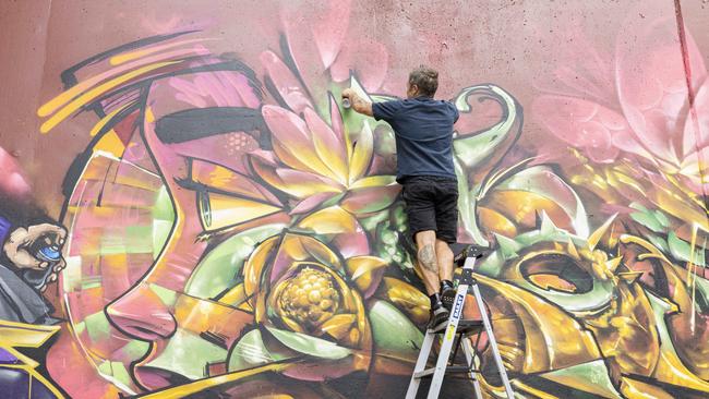 Street art has worked in other cities to attract tourists. Artist 'Sofles' at 'Brisbane Street Art Walls' program at Ekibin Park East in Greenslopes. Picture: Richard Walker.